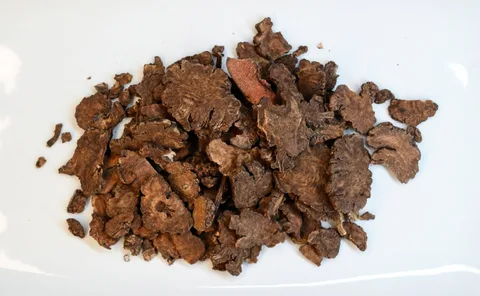 Chuan Xiong — Koprníček wallichův
